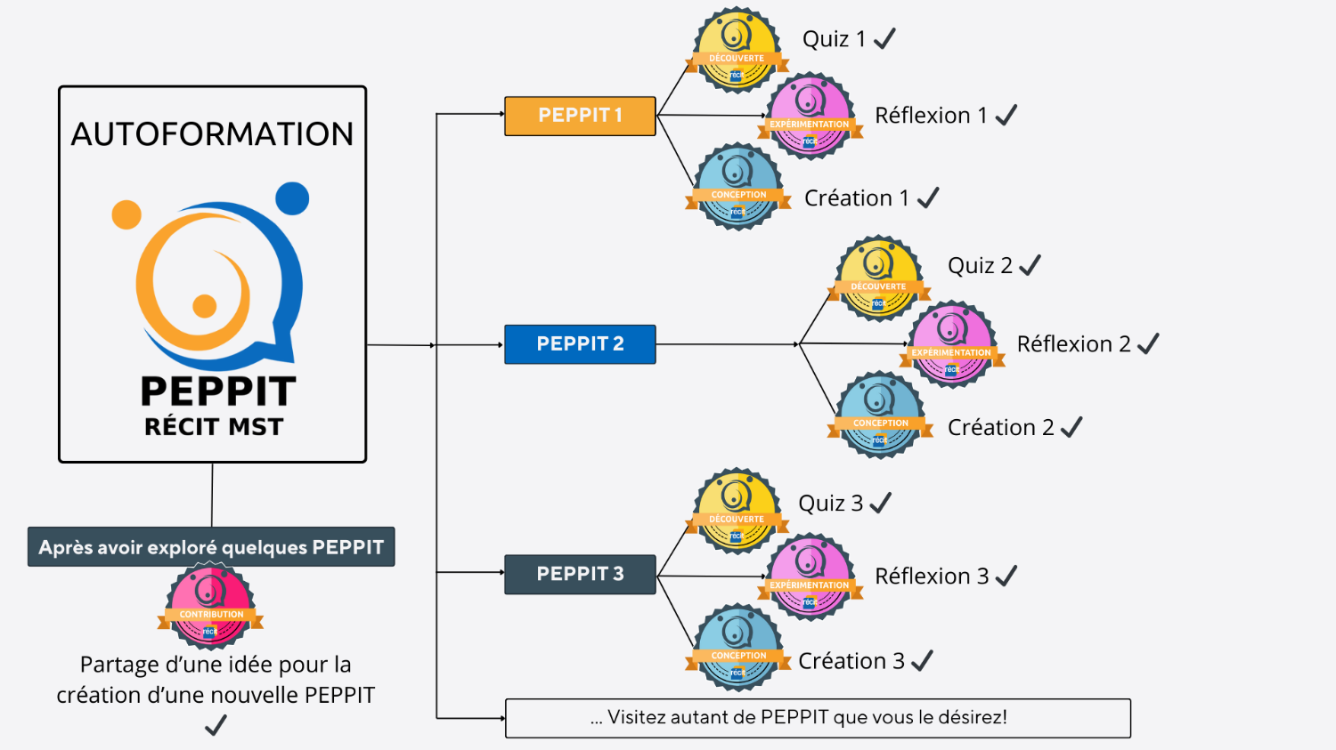 Cours : Les PEPPIT MST | Campus RÉCIT